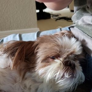 Meet your Posher, Leslie